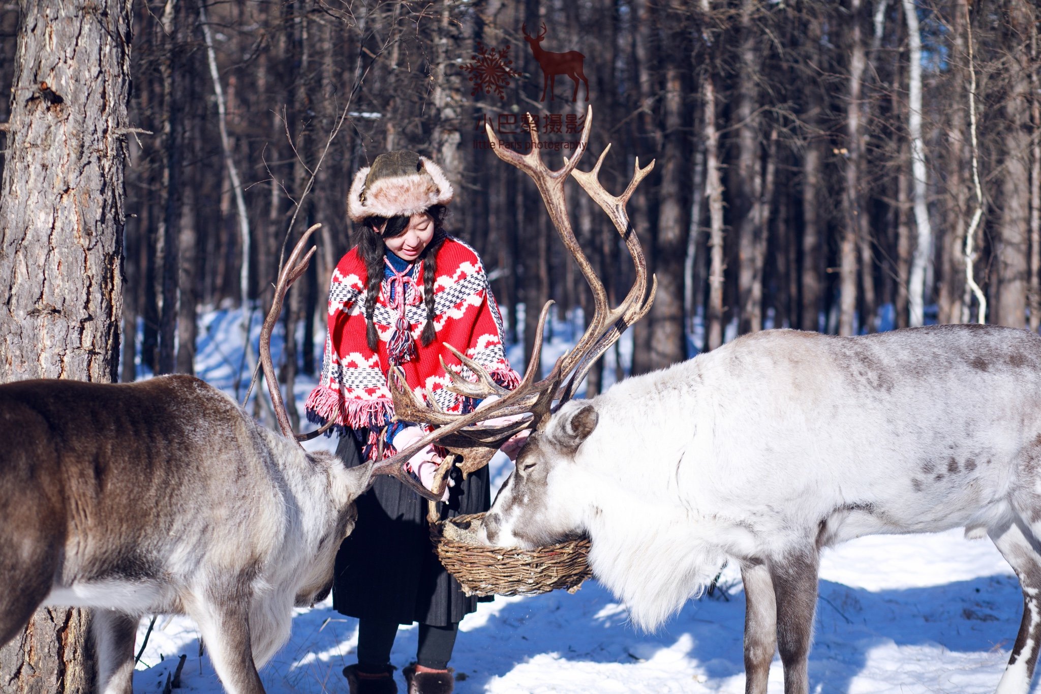 2024敖鲁古雅驯鹿之乡游玩攻略,我觉得也很好看喃.but,我们.