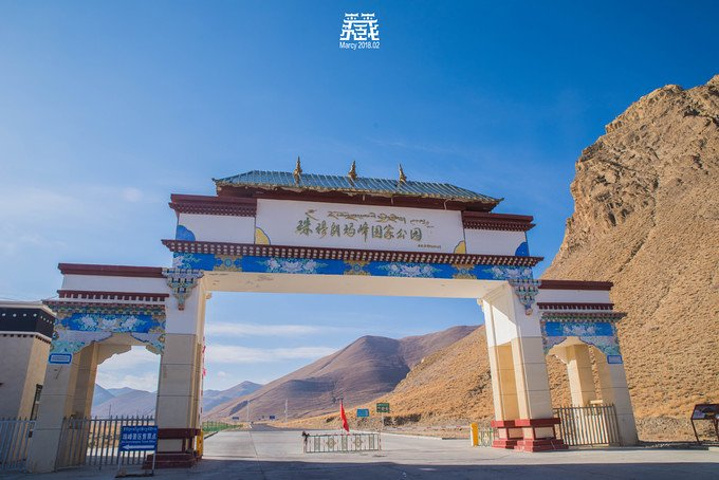 拔又高,很容易晕车和高反,人家高反是头晕恶心