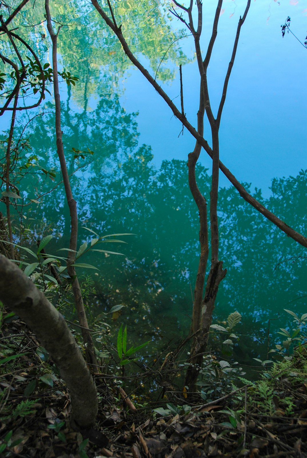 茂兰喀斯特森林,旅游攻略,自助游,自驾游,自由行