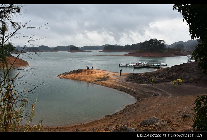 "所以我们此次湖行的两个岛屿是“梅峰岛”和“龙山岛”。如果用四个字来形容山顶的风光，那就是“惨不忍睹”_梅峰岛"的评论图片