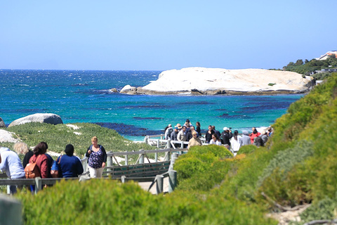 Simon's Town Museum西蒙博物馆旅游景点攻略图