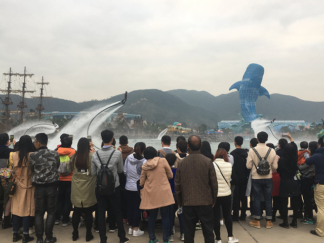 说实话,珠海长隆海洋王国是我这么多年来玩过