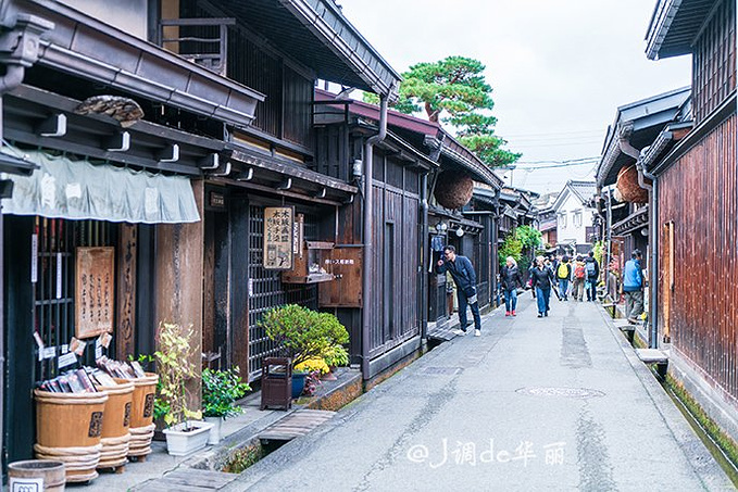 日本 7天6晚 逛古街 赏名园 尝海鲜 泡温泉 去日本中部地区就够了 金泽旅游攻略 游记 去哪儿攻略