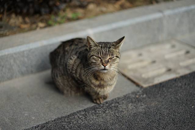 华东政法大学(长宁校区)