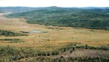 大子杨山古人类遗址