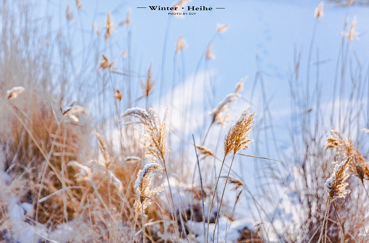 温泊也是属于五大连池景区的经典景点之一,现