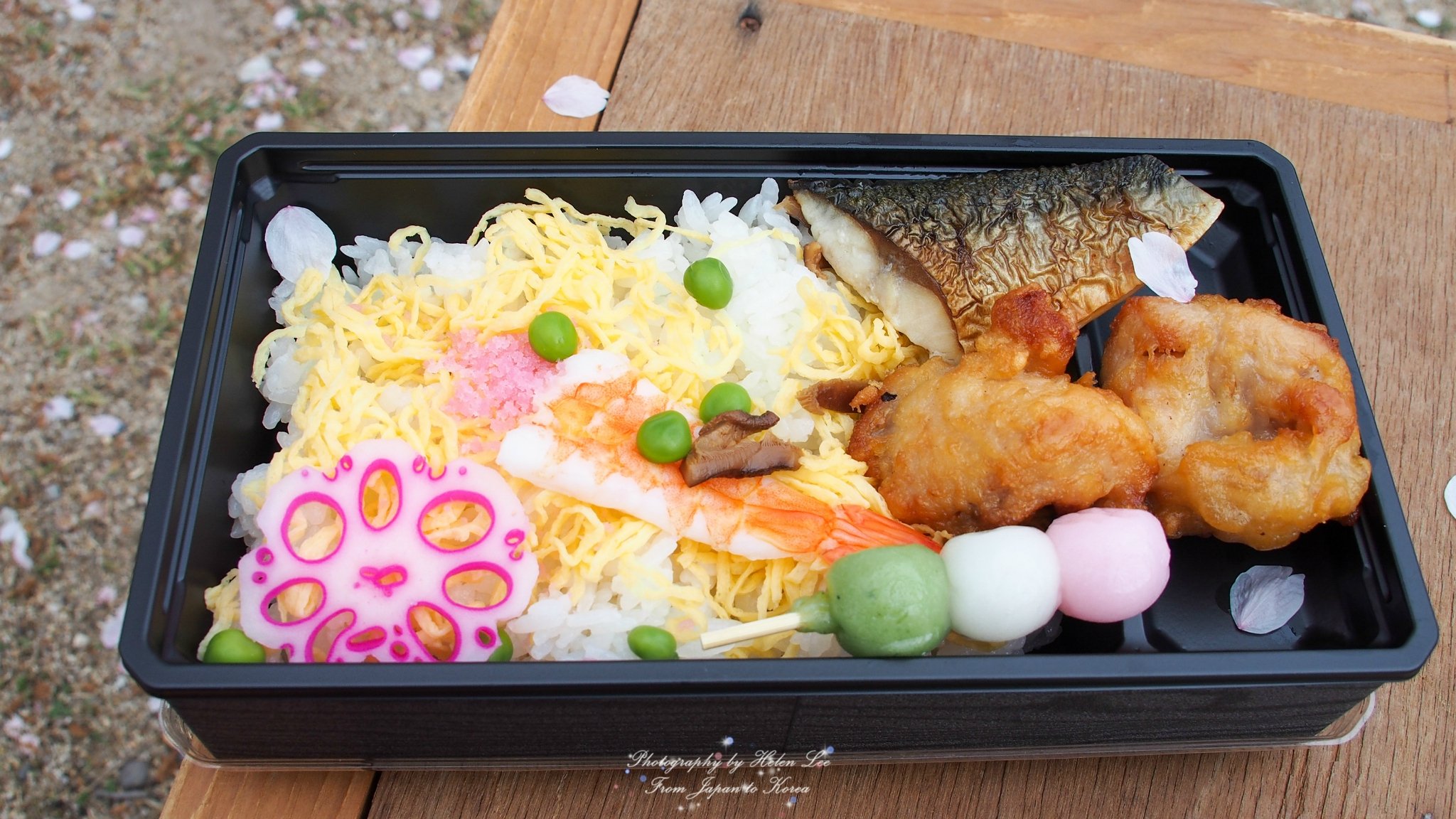 21彦根城樱花节玩乐攻略 沿着护城河一直走 满开的樱 去哪儿攻略