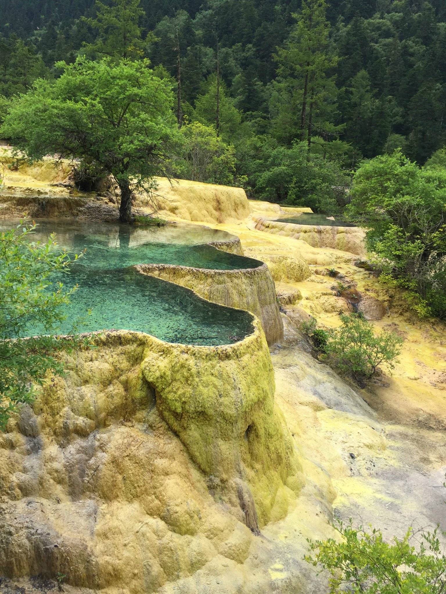 五彩池海拔3900米,是黄龙景点最高处.