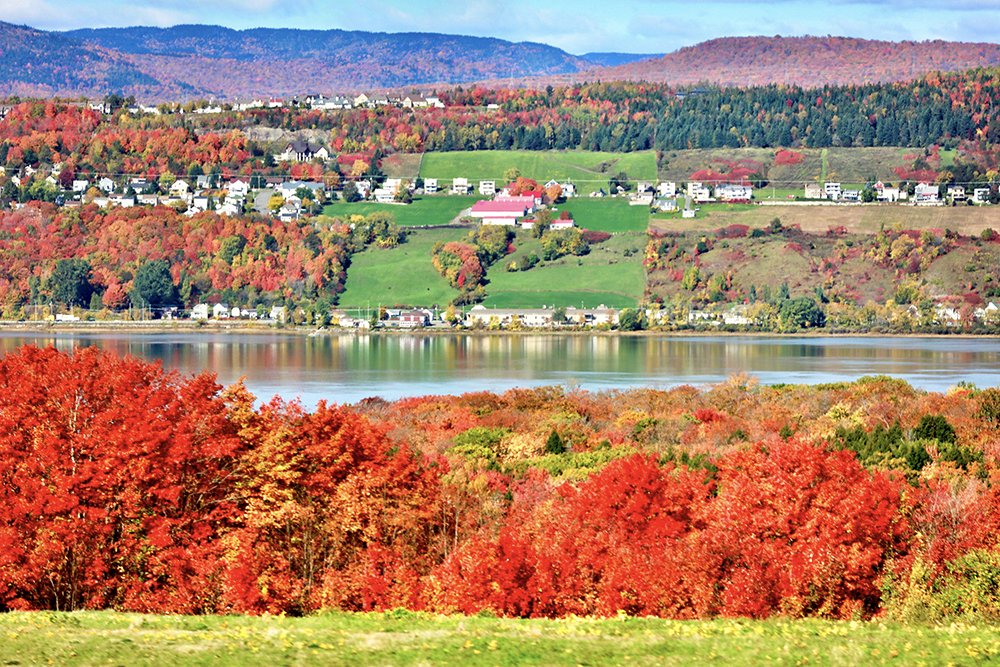 4,奥尔良岛 orleans island.