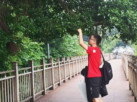 福州国家森林公园旅游景点攻略图