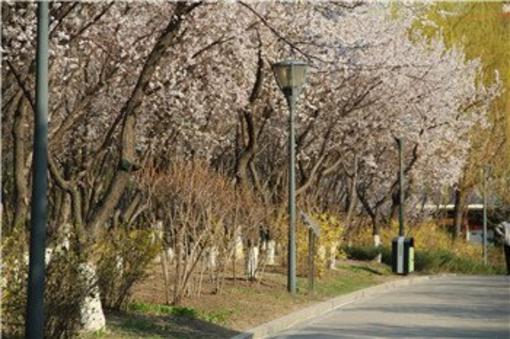 验了长春市的几个地方,胜利公园、吉林省委(原