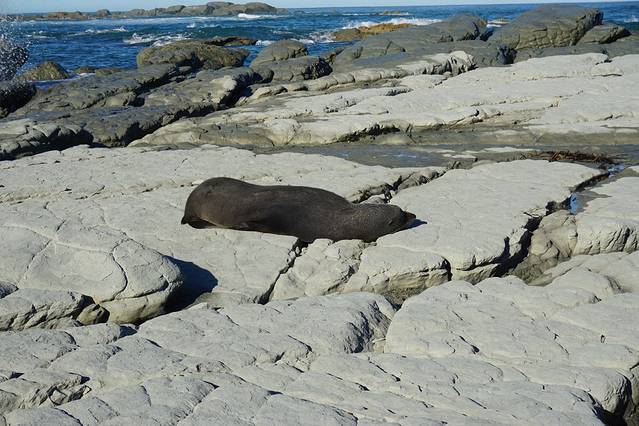 凯库拉半岛步道