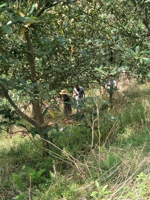 可爱的家乡,美丽的叙永龙凤