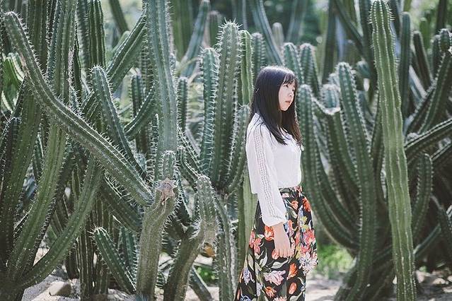 厦门最适合拍照的新晋网红地,让你1秒拍出ins