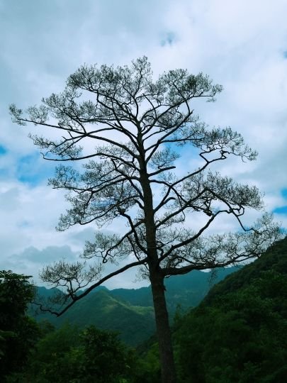 大樟溪休闲游乐区