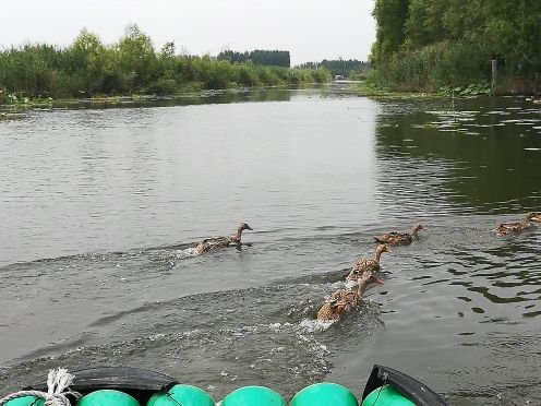 微山湖国家湿地景区