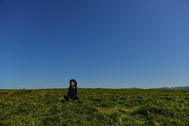 黄眼企鹅保护区