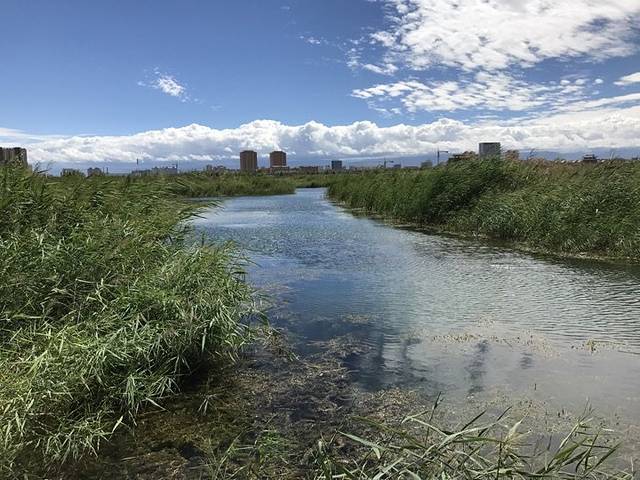 张掖国家湿地公园