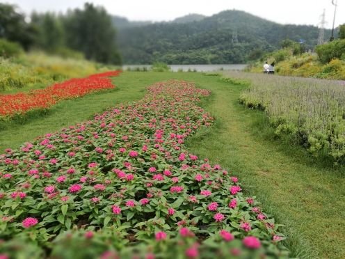 黄龙岘金陵茶文化旅游村