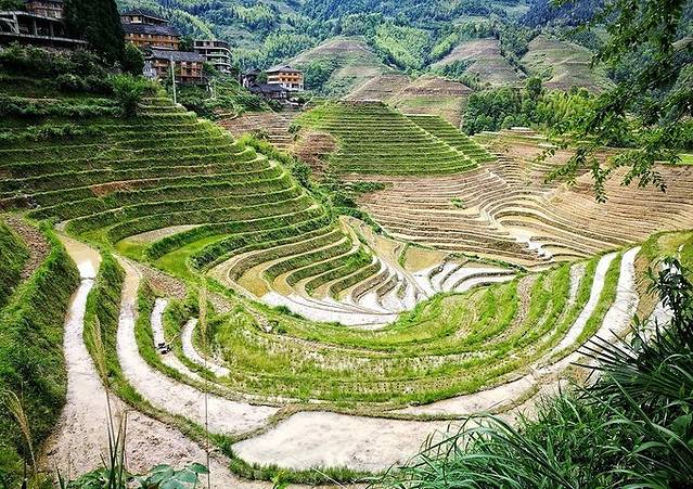 大界千层天梯观景点