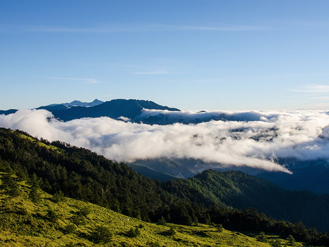 2021合欢山 旅游攻略 门票 地址 问答 游记点评 日月潭旅游旅游景点推荐 去哪儿攻略