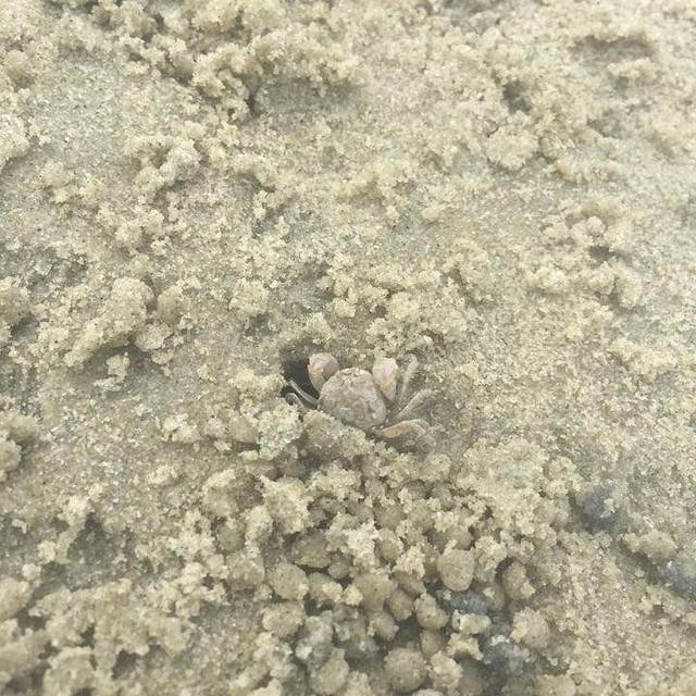 越乡小厨(侨港店)