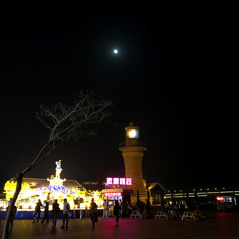 "{观赏星海夜景绝佳之地} 来过星海几十次以后，发现了几个观赏星海夜景的绝佳之处。星海公园的游乐设施_星海广场"的评论图片