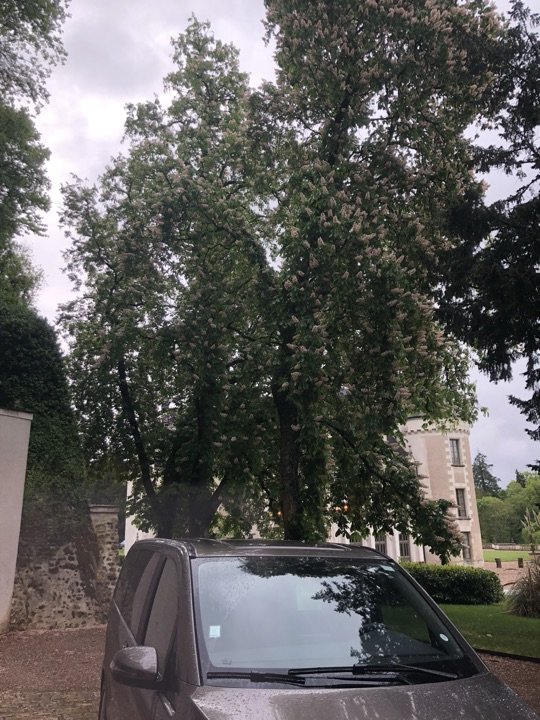 卢瓦尔河谷城堡区