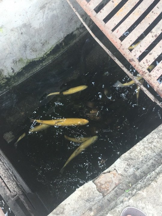 幸福起来民俗餐厅