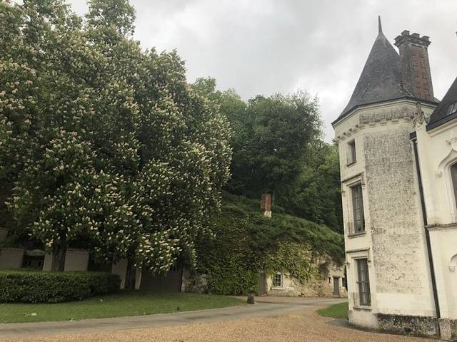 卢瓦尔河谷城堡区