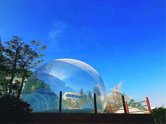 "高颜值,超梦幻,独一无二的网红地_君巍艺术馆"的评论图片