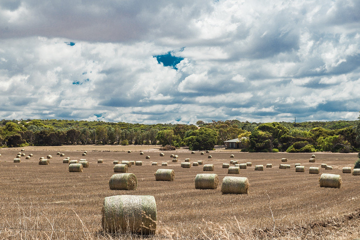 西澳大利亚州 这就是电视上常常看到的西部农场的模样!