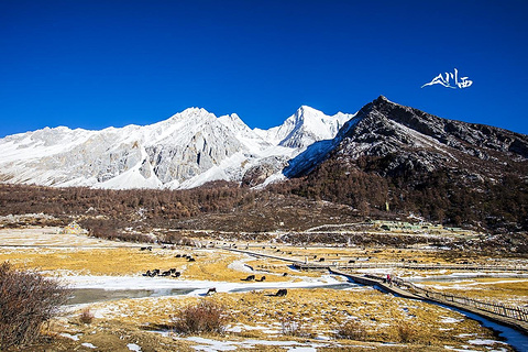 洛绒牛场旅游景点攻略图