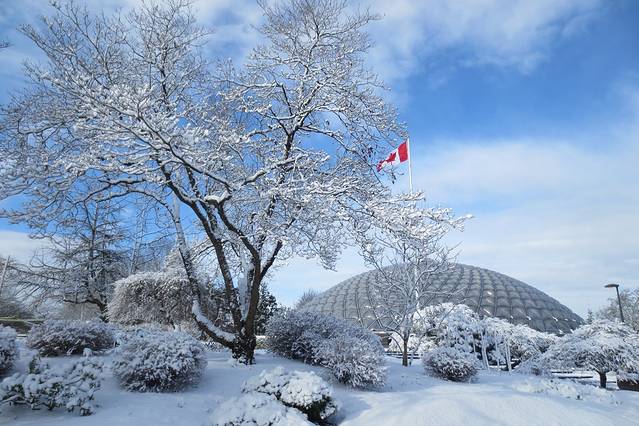 伊丽莎白女王公园