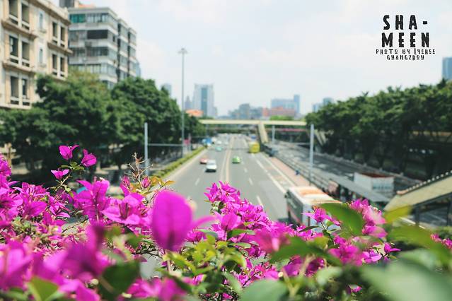 天主教广州教区露德圣母堂