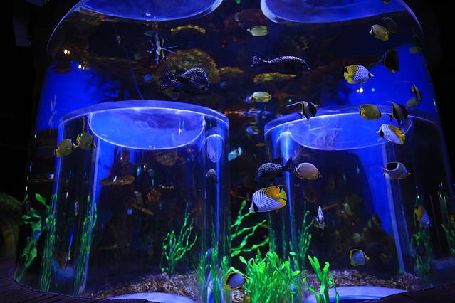 女儿城海洋公园