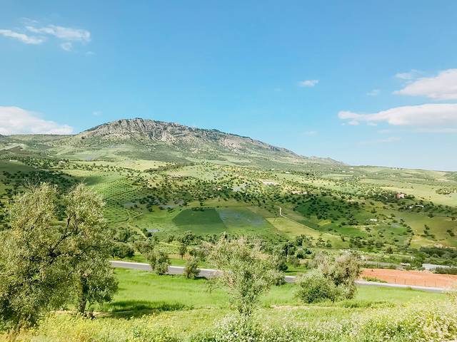 马里尼德王朝墓地