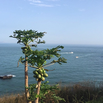 涠洲岛旅游景点攻略图