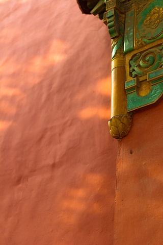 事先在故宫官网上购买了门票,因此不需要排长