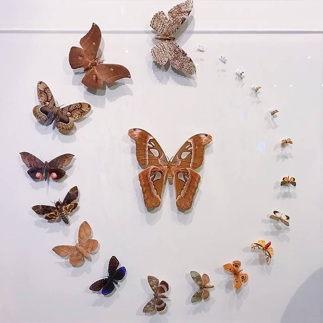 国立科学博物馆