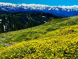 萨罗尼加旅游景点攻略图片