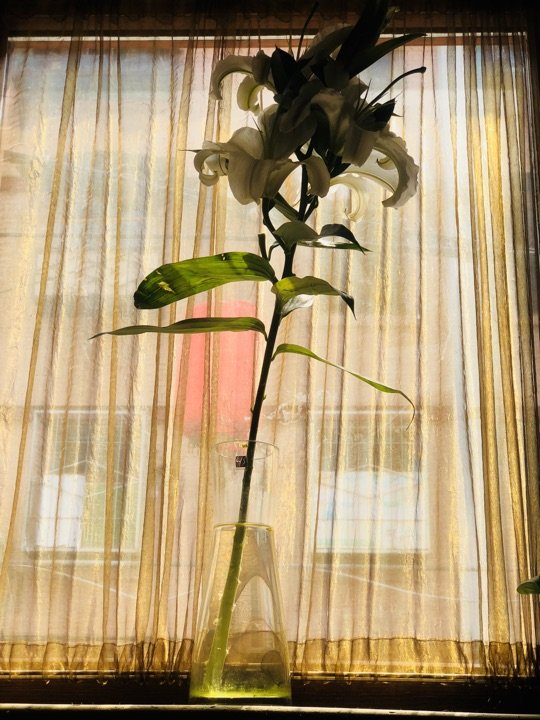 小吊梨汤(和平里店)