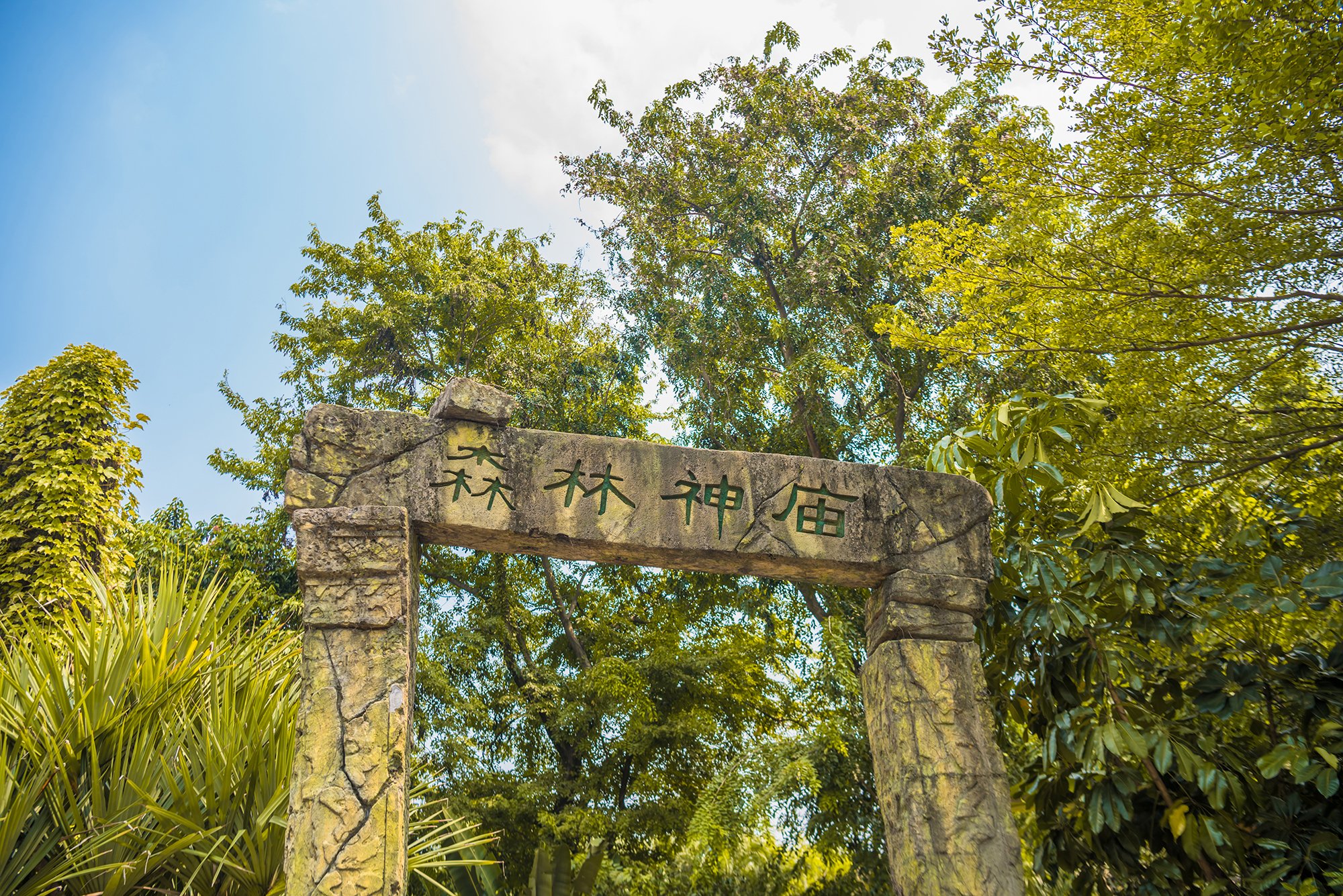 2022长隆欢乐世界玩乐攻略,惊爆场面层出不穷,震撼无比.