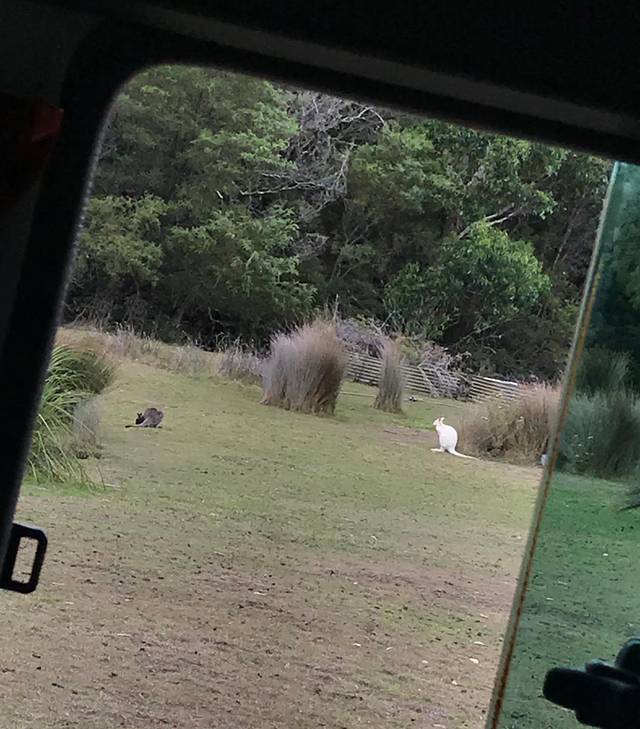 Bruny Island Berry Farm