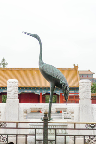 事先在故宫官网上购买了门票,因此不需要排长