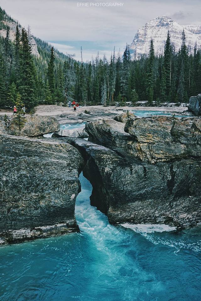 Lake Louise Station Restaurant