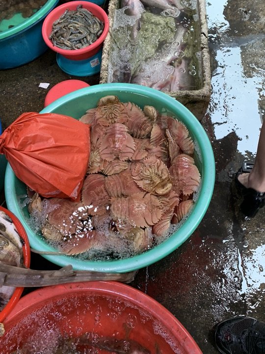 1980烧肉粽（厦禾路店）