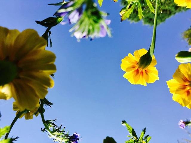 黄龙山庄旅游区