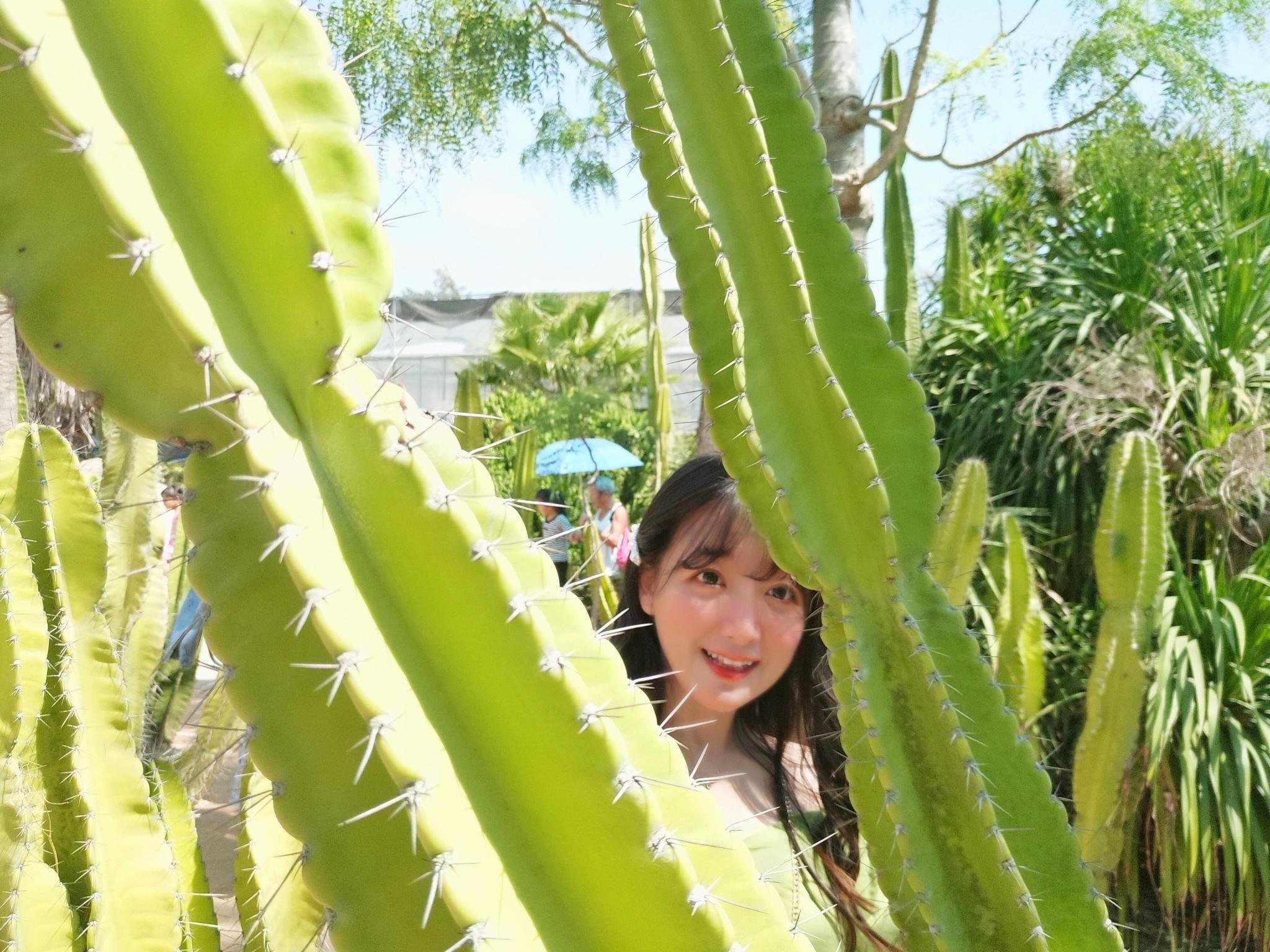 打个飞的去厦门－鼓浪屿5日游