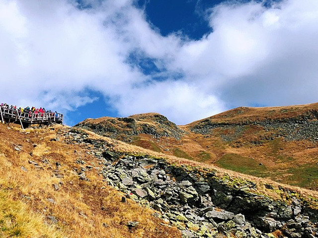 老虎背上纵目远眺,四季景色十分奇异.